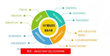 數(shù)字時(shí)代新篇章 網(wǎng)絡(luò)信息技術(shù)開(kāi)發(fā)與創(chuàng)新之路